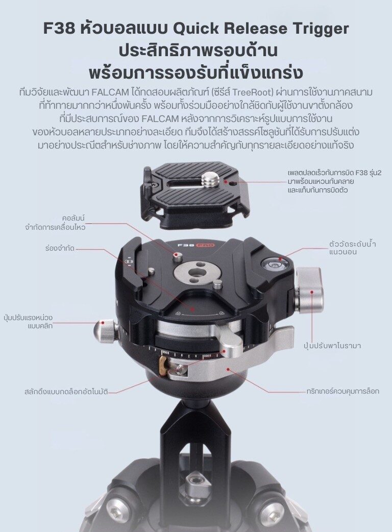 Falcam treeroot r141k 320p quick lock travel tripod (9)