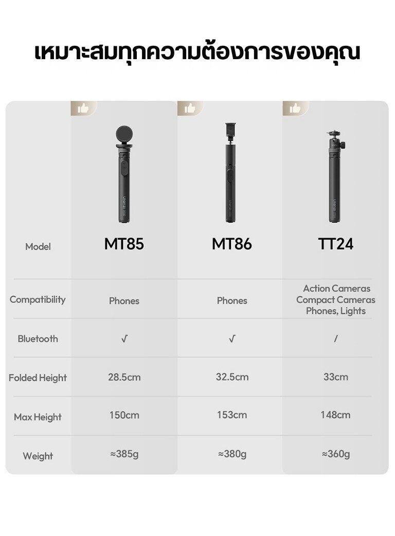 Mt85 (14)