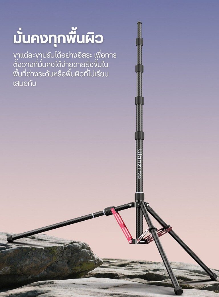 T230 (8)