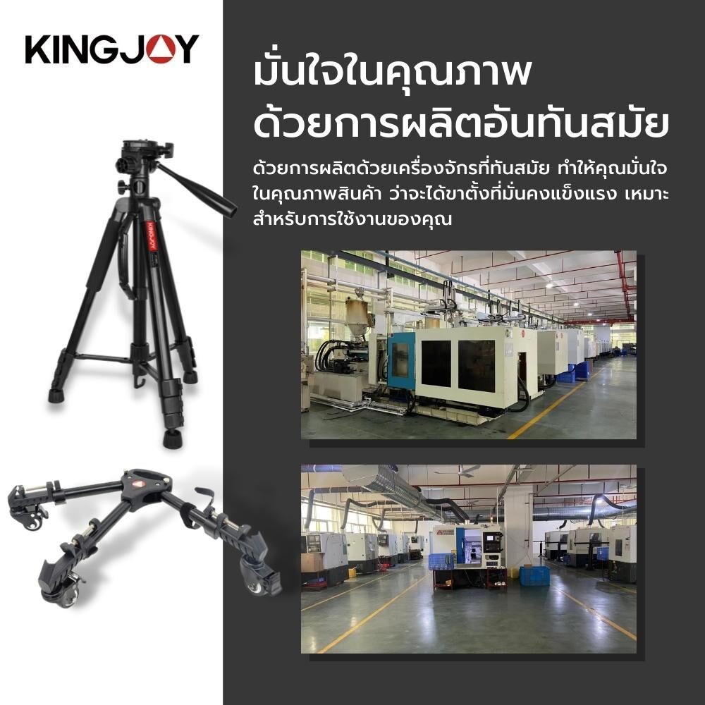 Zeta kingjoy (2)