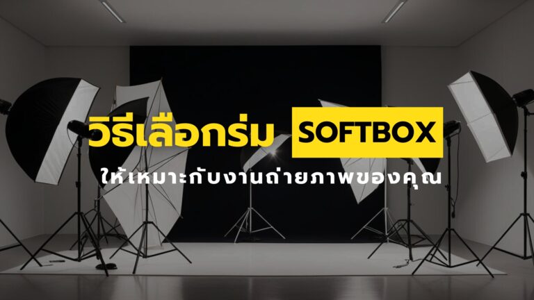 Types Of Softboxes