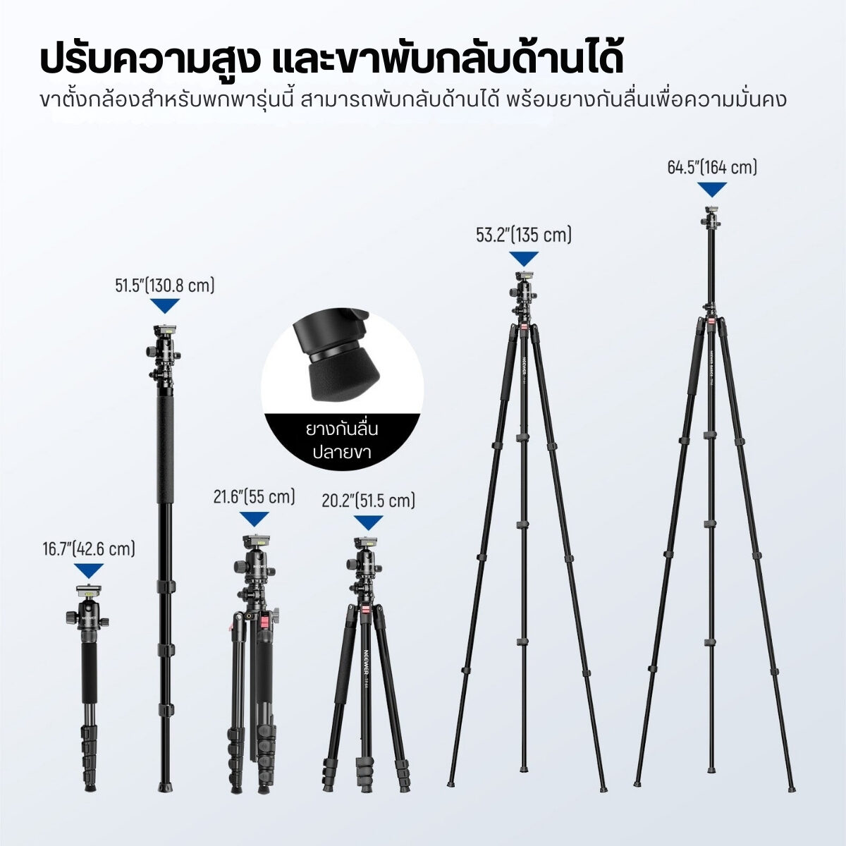 TP66 (5)