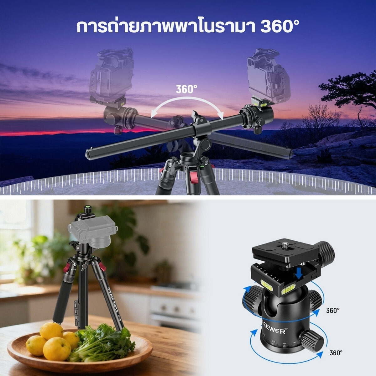 TP66 (7)