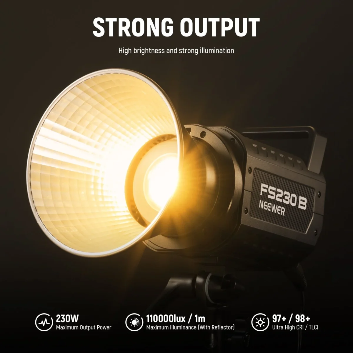 2 NEEWER FS230B 230W Bi Color LED Video Light