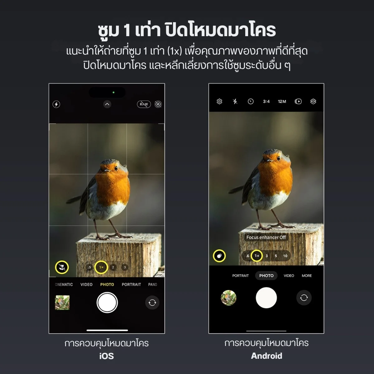 NEEWER เลนส์มือถือ Telephoto LS41 Pro 60mm HD เลนส์ซูม 2X เกลียว 17mm
